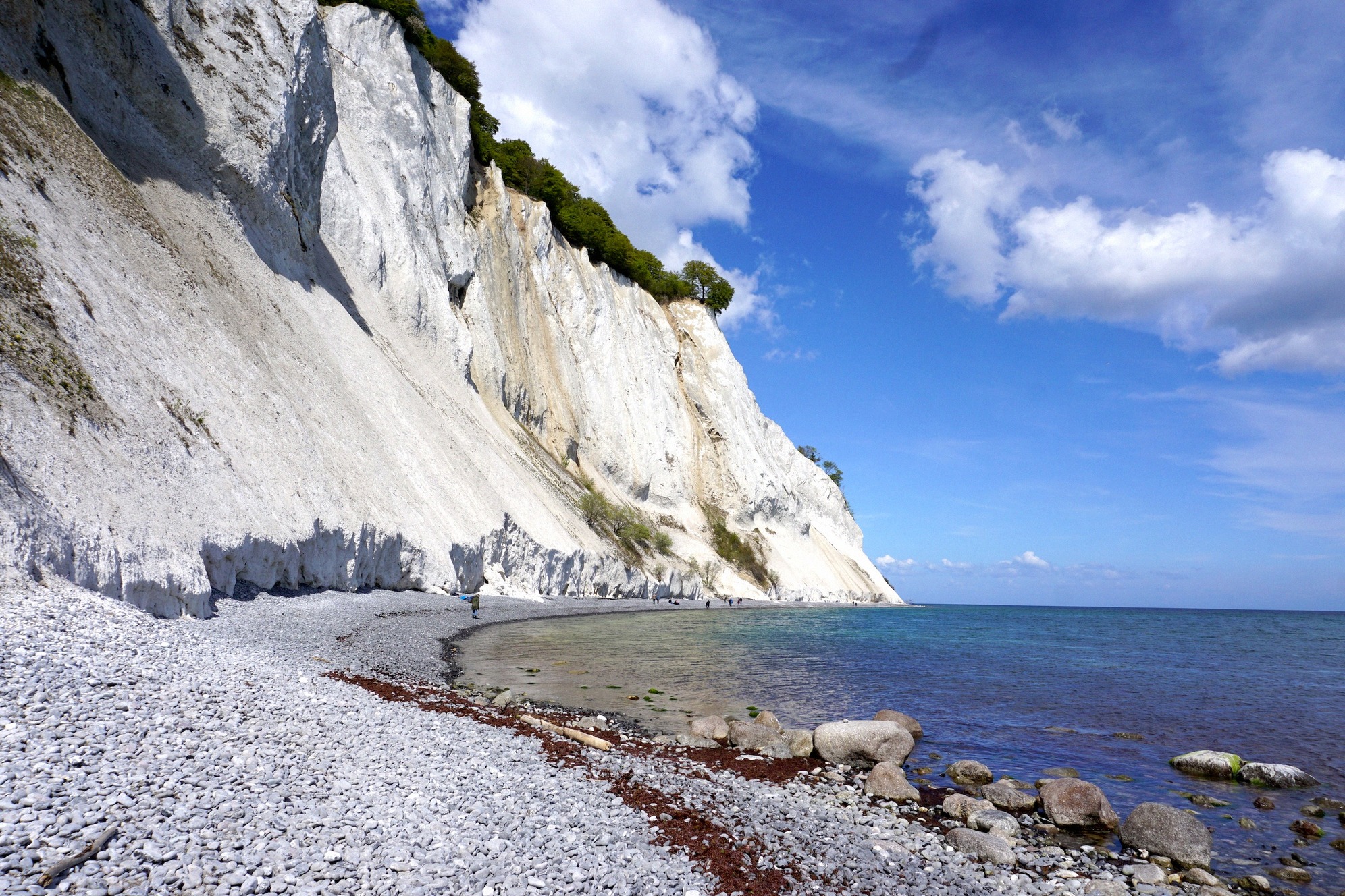 Die weißen Kreidefelsen von Møns Klint über dem Meer